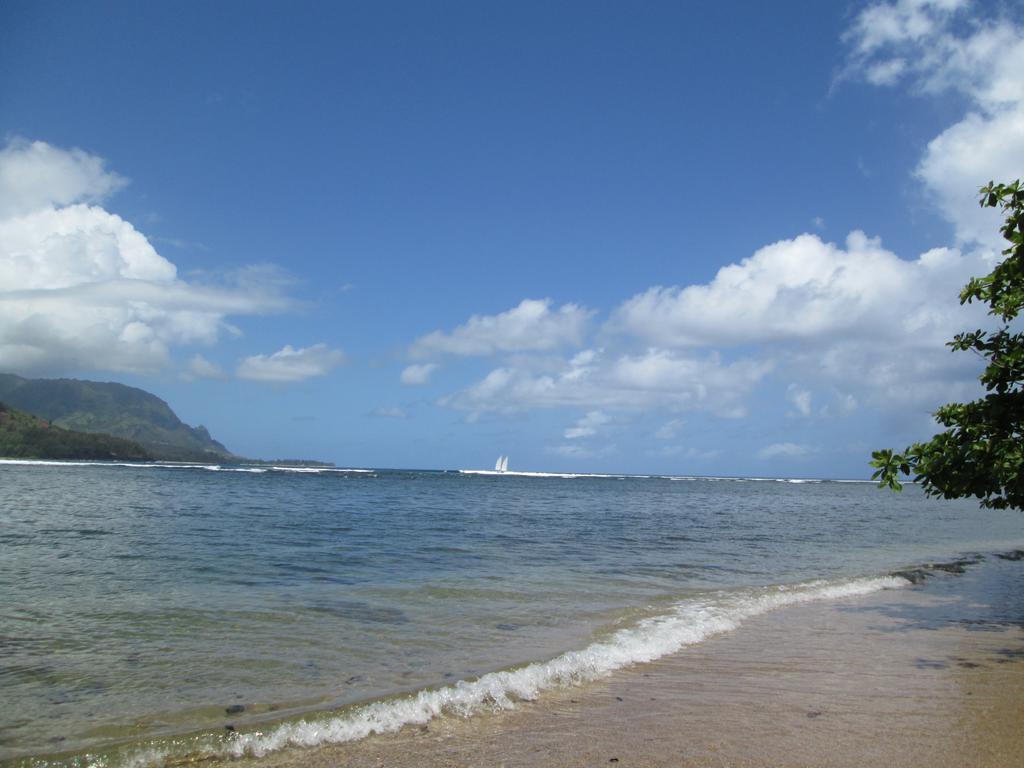 Princeville Sealodge Unit D-4 חדר תמונה